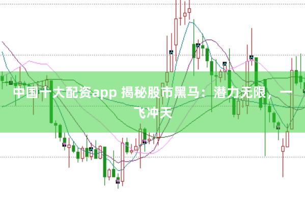 中国十大配资app 揭秘股市黑马：潜力无限，一飞冲天