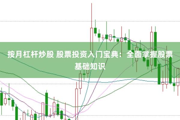 按月杠杆炒股 股票投资入门宝典：全面掌握股票基础知识