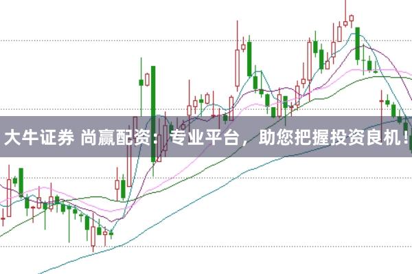 大牛证券 尚赢配资:专业平台,助您把握投资良机!