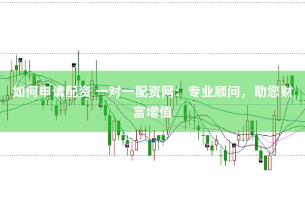 如何申请配资 一对一配资网：专业顾问，助您财富增值