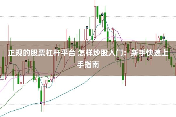 正规的股票杠杆平台 怎样炒股入门：新手快速上手指南
