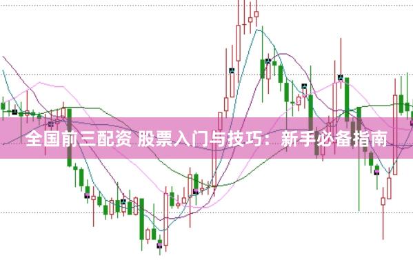 全国前三配资 股票入门与技巧：新手必备指南