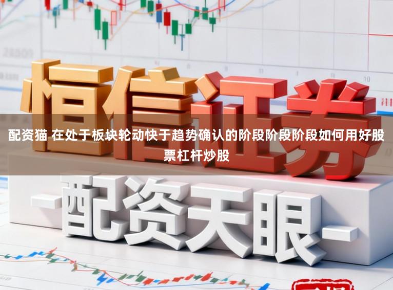 配资猫 在处于板块轮动快于趋势确认的阶段阶段阶段如何用好股票杠杆炒股