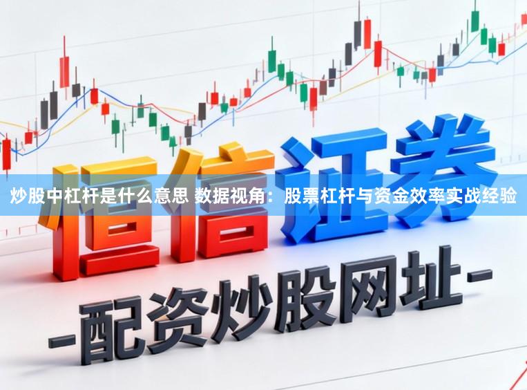 炒股中杠杆是什么意思 数据视角：股票杠杆与资金效率实战经验